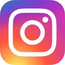 Icone Instagram