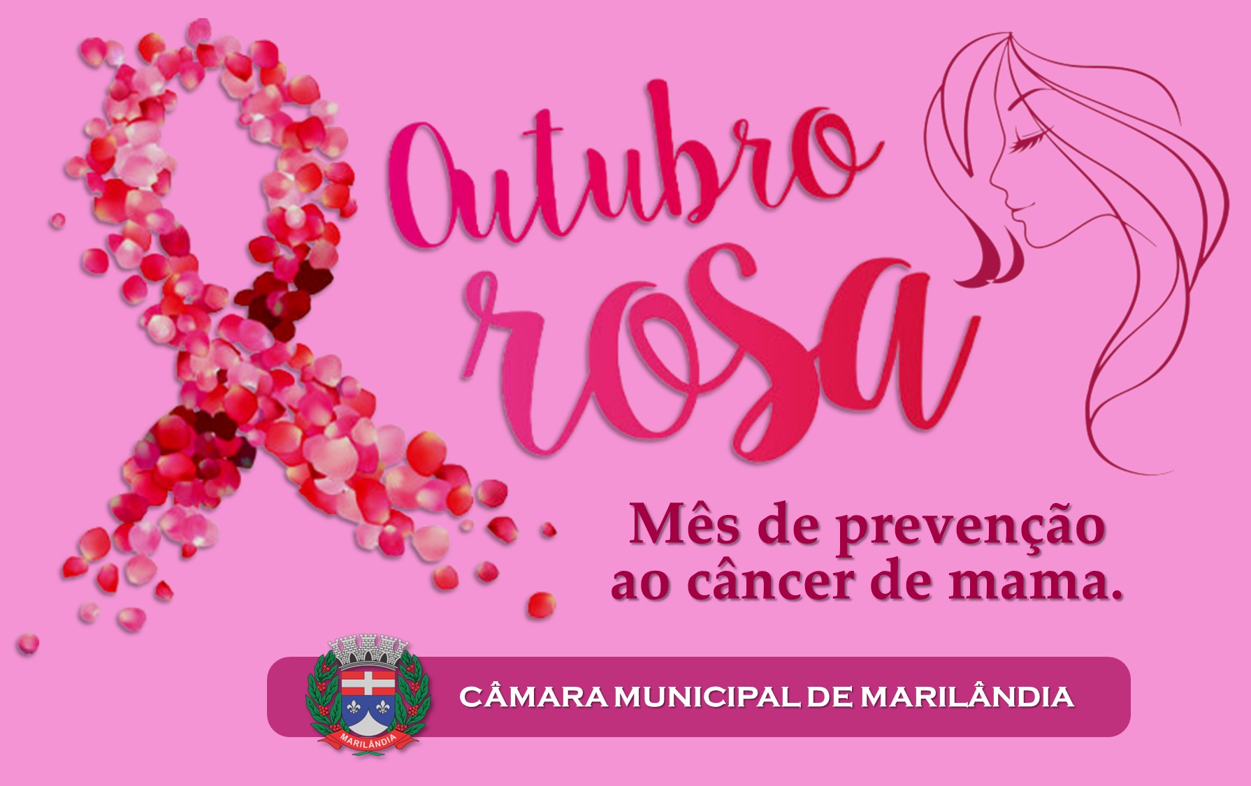 Campanha Outubro Rosa