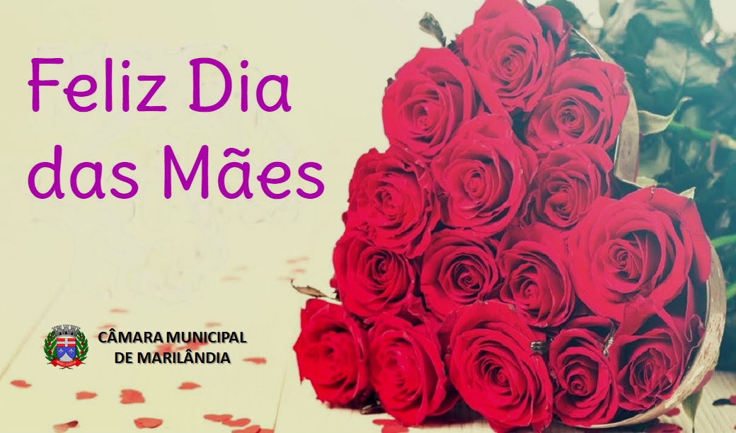 Feliz Dia das Mães