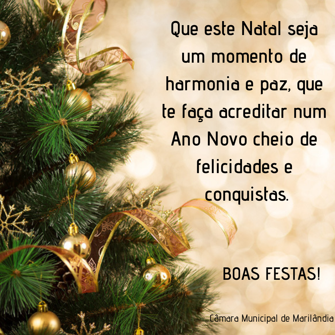 FELIZ NATAL E UM PRÓSPERO ANO NOVO