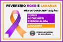 Fevereiro Roxo e Laranja