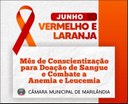 Junho Vermelho e Laranja